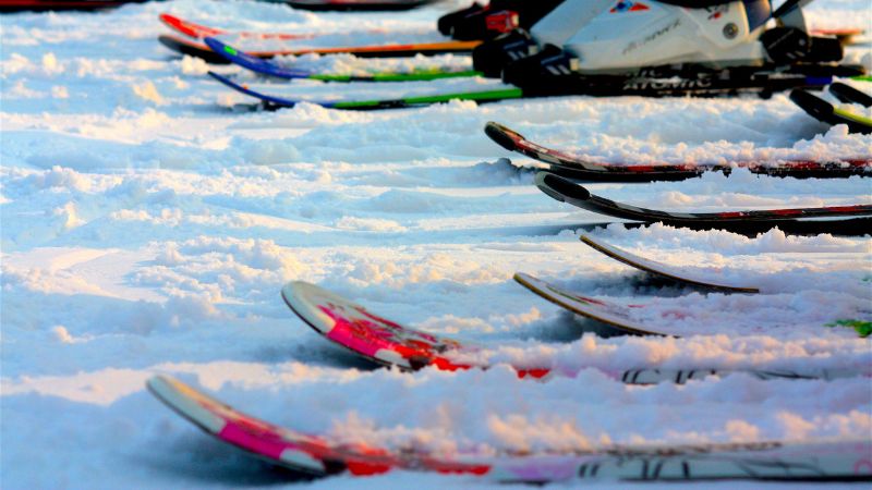 Row of colorful skis lined up on snow.
