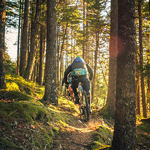 Alta mountain biking