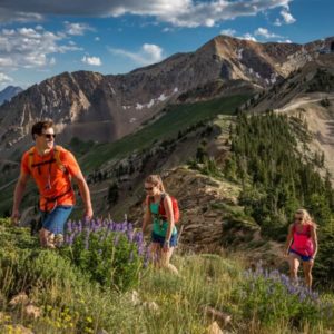 Snowbird Hiking