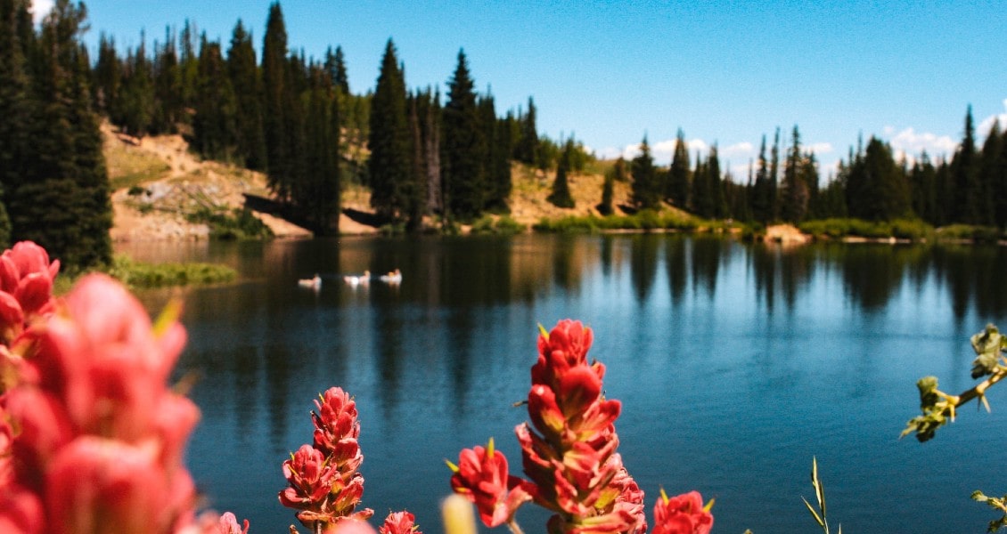 Guardsman Pass