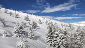 Snowy Mountains Alta Utah