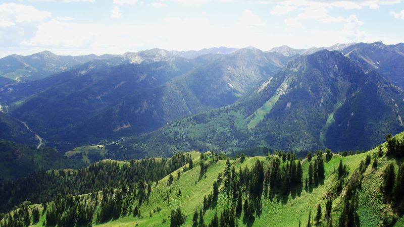 A panoramic view of green forested mountains and rolling ridges under a bright blue sky.